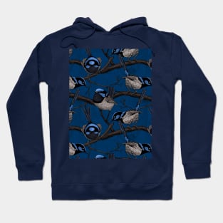 Night fairy wrens Hoodie